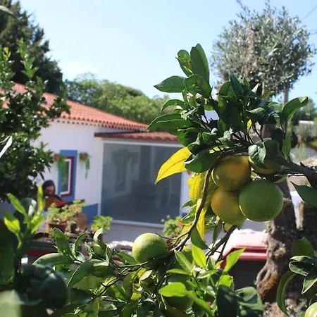 Casa Manuel E Maria * Fatima